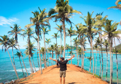 Whale Watching Adventure in Mirissa – Full Day Experience