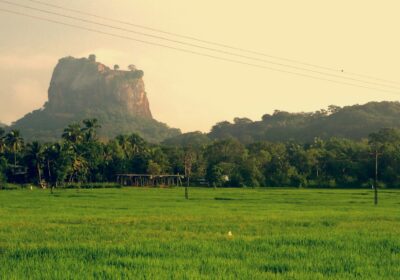 Sri Lanka in Motion – 6-Day Culture & Adventure Getaway